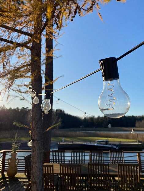 Сравнение источников и расчёт бюджета проекта: солнечная, ветровая энергия и биогаз