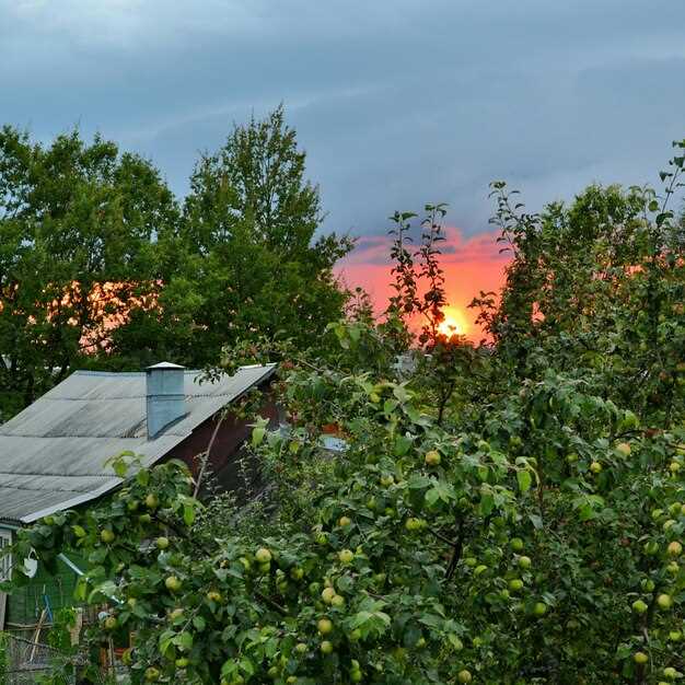 undefinedСекция панелей состоит из 8–12 модулей по 320–360 Вт, что обеспечивает пик мощности <strong>2,5–4 кВт</strong> и годовую выработку 900–1500 кВтч в зависимости от климата.»></p>
<p>Хранение: аккумулятор LiFePO4 на 7–10 кВтч позволяет держать работу бытовой техники ночью без перерыва, а современный <em>BMS</em> обеспечивает безопасность.</p>
<p><strong>Инвертор гибридный</strong> мощностью 5 кВт осуществляет автоматическое переключение между панелями и резервной сетью, поддерживая стабильность в периоды низкой выработки.</p>
<p>Резервный вариант – дизель-генератор на 2–3 кВт как запасной источник, стоимость устройства 50–90 тыс руб; расход топлива около 0,4–0,6 л/ч при полной нагрузке.</p>
<p>Оптимизация потребления: светодиодное освещение 5–10 Вт на одну лампу, холодильник 120–180 Вт, бытовая техника класса высокой эффективности; применение программируемых режимов позволяет снизить пик нагрузки на 30–50%.</p>
<p>Размещение панелей: южный склон, угол наклона 25–40 градусов, отсутствие затенения, кабельные трассы до узла учета не длиннее 8–10 м; используйте качественные кабели и защиту от перенапряжения.</p>
<p>Эта схема обеспечивает независимость на пике сезона, сокращает счета и упрощает обслуживание в контуре местного электроснабжения.</p>
<p><img decoding=