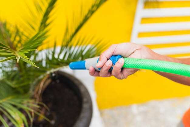 Поддерживайте здоровый уровень мульчи вокруг растений. Это не только предотвращает рост сорняков, но также замедляет испарение из почвы, сохраняя влагу на более длительный срок.