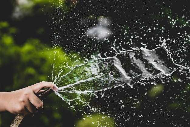 Автоматизация процесса полива не только способствует значительному уменьшению расхода ресурсов, но и освобождает от рутинной работы по уходу за участком. Установка таймеров и регулируемых систем поможет точно рассчитывать время и объем полива, что особенно выгодно в жаркое время года. С помощью программируемых систем можно заранее задать расписание, адаптированное под климатические условия.