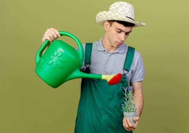 Также учитывайте типа устройства. Электронные системы сопряжены с датчиками влажности, что обеспечивает автоматическую настройку режима. Механические устройства более просты в обслуживании и могут стать хорошим решением на начальном этапе.