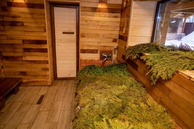 Как выбрать тип: баня с парной и дровяной печью против сауны на электрическом отоплении