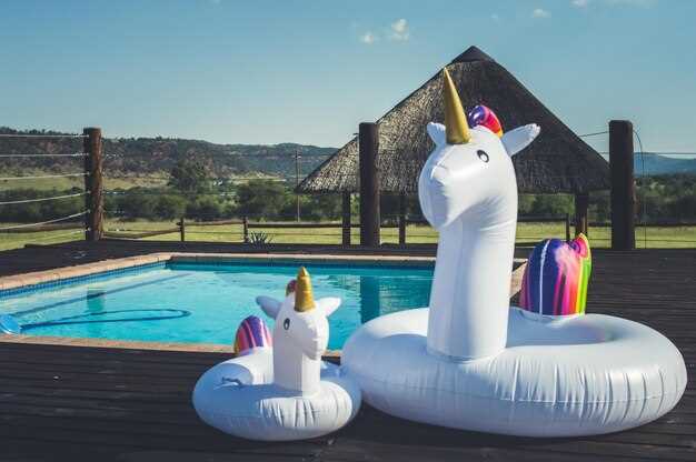 Определите, сколько пространства вы готовы выделить для конструкции. Для ограниченных участков небольшие и надувные модели станут оптимальным выбором. Если местность позволяет, можно рассмотреть более крупные и стационарные варианты, которые создают более устойчивую инфраструктуру и могут служить долго.