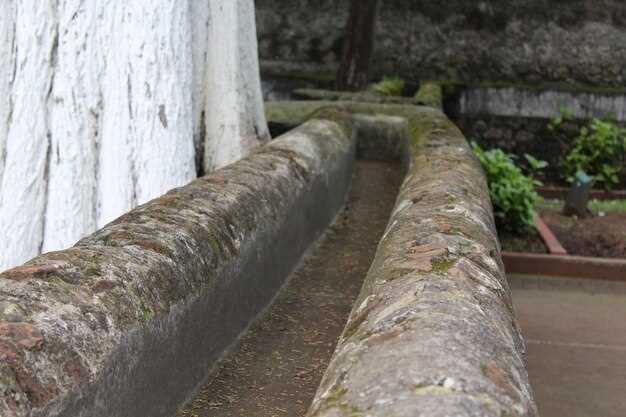 undefinedДалее подберите шаг элементов отвода влаги под грунт</strong>: для песчаных оснований – 6–8 м, для плотных глинистых – 8–12 м. <em>Уклон трассы</em> держите <strong>2–3%</strong>, чтобы вода стабильно уходила к узлу сбора. Глубина заложения контура – 0,6–0,9 м для близкого расположения к фундаменту, 1,0–1,2 м при глубоких уровнях грунтовых вод.»></p>
<p><strong>Уход за сетью</strong>: осенью и весной прочищайте колодцы, удаляйте мусор и песок, проверяйте герметичность стыков. <em>Интервал обслуживания</em> – <strong>1–2 года</strong>. При необходимости обновляйте засыпку и заменяйте фильтрующий слой по состоянию, примерно раз в 5–7 лет.</p>
<p><strong>Перед монтажом закажите геологическую съемку и гидрогеологическую оценку территории</strong>. Опирайтесь на данные: уровень грунтовых вод в норме, скорректируйте схему так, чтобы минимальное водоприток не превышал <strong>0,4–0,8 м водяного столба</strong> над уровнем трассы. Для площади до 300 м² применяйте Ø110 мм трубу, для больших – Ø160 мм; расстояние между колодцами корректируйте до 30–40 м. Все узлы снабдите антикоррозийным покрытием и соответствующей подготовкой.</p>
<p><img decoding=