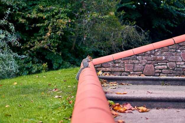 Уход за колодцами и профилактика засоров