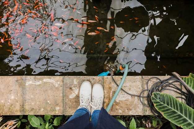 Далее устанавливают перфорированную трубу Ø100 мм с уклоном 0,5–1% к выходу; на нее насыпают щебень фракции 20–40 мм слоем 10–15 см, затем снова укрывают геотекстилем и засыпают грунтом до уровня поверхности. Вдоль трассы размещают колодцы доступа через 20–30 м и на поворотах для оперативной прочистки в случае засоров.