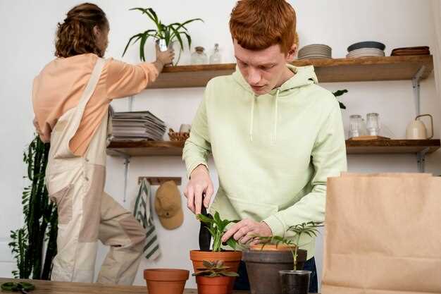 Основные сегменты и производители