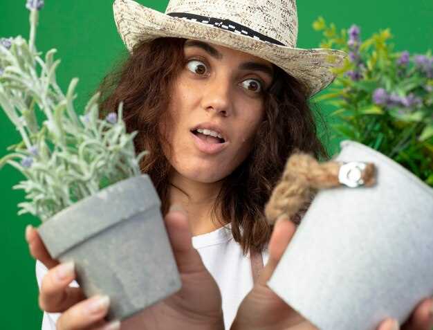 Экономия в потреблении