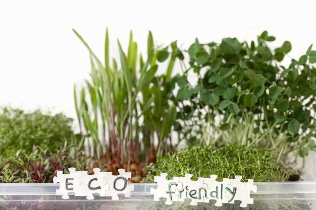 Экономия воды достигается за счет сочетания сбора осадков и точного полива. При участии дождевой воды из бака и капельной линии расход водопровода на полив снижается на 40–70% в сравнении с обычным поливом, а потеря влаги vapor через поверхность почвы уменьшается за счет точечной подачи и мульчирования.