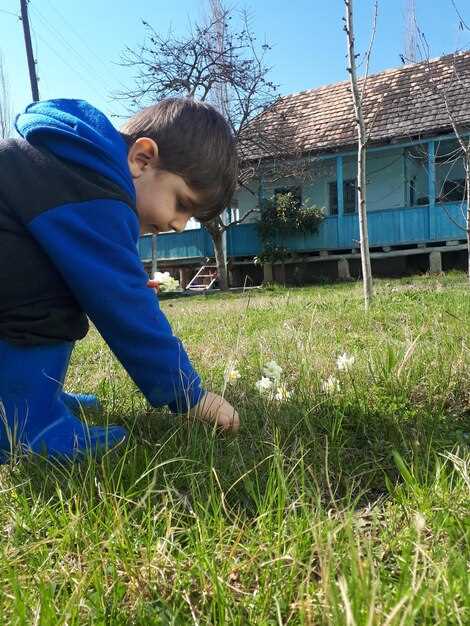 Полив после посева или укладки: первый полив выполняйте сразу после завершения работ; держите влажность почвы на уровне 60–70% емкости влаги; частота 4–6 раз в сутки с порцией 0.5–1 л на 1 м2 в течение первых 5–7 дней; после появления всходов переходите на утренний и вечерний режим полива, избегая пересыхания.