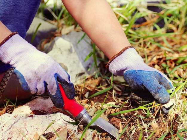 Рулонное покрытие