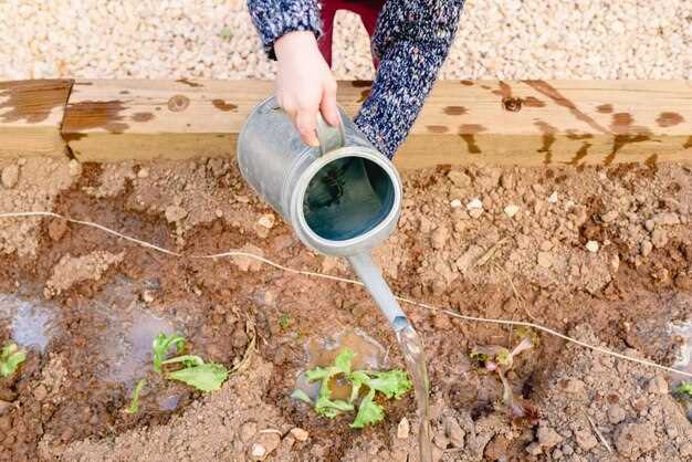 Глубина зарывания траншей зависит от климата и состава грунта: без промерзания – 0,7–1,0 м; в зоне значительного промерзания – 1,0–1,2 м. В песчаных слоях допускается 0,7–0,9 м, в глинистых – 0,9–1,1 м. Под перфорированной трубой укладывают песок толщиной 0,1–0,15 м для дополнительной фильтрации и защиты от заиления.
