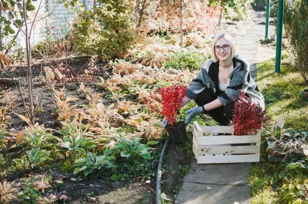 undefinedПоследовательность монтажа</strong>: начинают с разметки трассы и расчета глубины заложения, затем копают траншею шириной <em>0,5–0,8 м</em> и уклоном <em>1–2%</em> в сторону точки спуска. Дно выравнивают и укладывают геотекстиль. Далее засыпают <em>щебень 20–40 мм</em> слоем примерно <em>10–20 см</em>, укладывают перфорированную трубу <em>90 мм</em> (ориентация отверстий вверх). Сверху снова слой щебня <em>15–25 см</em>, накрывают геотекстилем, засыпку замещают грунтом и тщательно утрамбовывают без перегиба.»></p>
<p><strong>Защита и предотвращение засорения</strong>: устанавливают мелкоячеистую защиту на входах колодцев и на выпуске, чтобы исключить попадание корней и мусора. В местах стыков с ливневой сетью применяют выпускной узел с обратным клапаном или перелив, предотвращающий обратное затопление. Поверх засыпки выполняют выравнивающий слой грунта и высаживают траву, чтобы сохранить эстетичный вид участка и не нарушить сток.</p>
<p><img decoding=