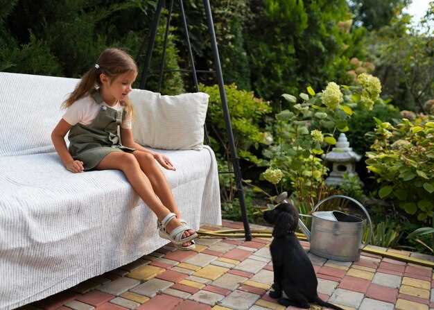 Зонирование участка: как выбрать место под отдых, огород и сад и расставить функциональные акценты