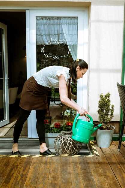 Материалы, мебель и декоративные решения: дорожки, ограждения, освещение и стиль