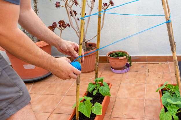 Выбор труб и размещение распределителей. Магистраль – 32 мм, ответвления – 16 мм; на вводах к зонам устанавливают регуляторы давления и запорные краны; в местах соединений применяют фильтры и узлы снижения давления, чтобы удержать выходное давление в диапазоне 1,5–2,5 бар. Потери на отдельных участках стоит держать в пределах 0,5–1,0 бар.