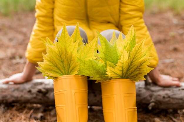 Уход: промывайте фильтр раз в месяц, проверяйте соединения на герметичность, зимой слейте влагу из магистрали и храните элементы в сухом месте; защитите участок от морозов, чтобы избежать разрыва труб. Контролируйте расход воды и качество воды, чтобы не перегружать растения.