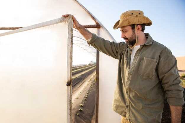 Также не стоит забывать об вентиляции. Правильная схема воздухообмена подразумевает достижение баланса между защитой от холода и предотвращением накопления влаги. Установка вентиляционных решеток улучшит циркуляцию воздуха и снизит риск появления плесени. Важен и выбор материала для готового слоя, который также должен обеспечивать защиту от влаги.