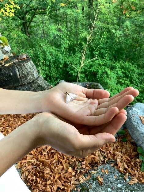 kak soxranit prirodu na uchastke i ispolzovat resursi razumno