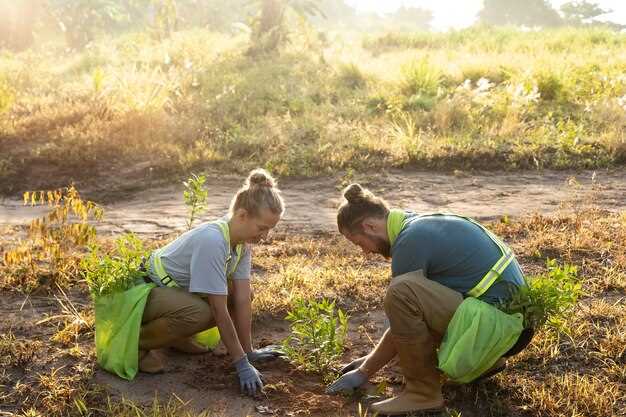 Сбор дождевой воды: крыша площадью 40 м² и годовая сумма осадков 600 мм дают примерно 24 м³ воды в год. Резервуар ёмкостью 2–5 м³ подойдет для маленького двора; для больших садов применяют баки на 10–20 м³ и более.