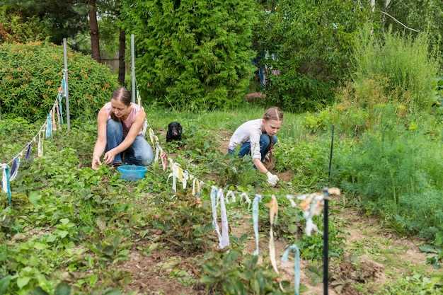 Защита почвы и биоразнообразия: севооборот, мульча и местные растения