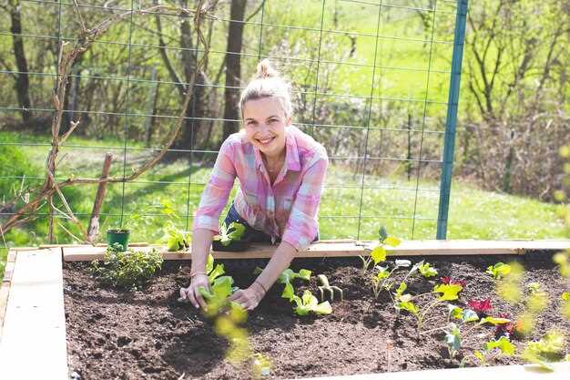 Севооборот и последовательность культур на сезон