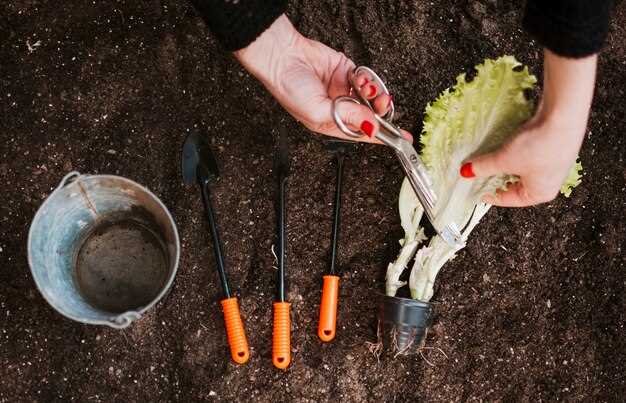 Ключевые группы культур и порядок смены