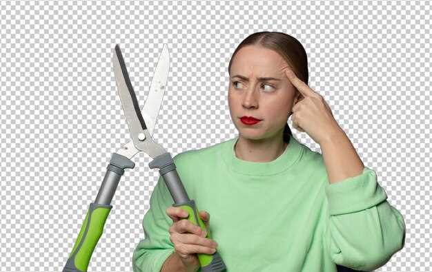 Для больших территорий свыше 1000 м² и сложной конфигурации подойдут роботизированные помощники или мощные бензиновые установки с автономной работой. Роботы охватывают 800–1500 м² на одном цикле, поддерживая расписание и точную стрижку по границам; для более обширных участков требуются станции подзарядки и программирование зон. Время автономной работы 60–120 минут, диапазон ширины реза 20–54 мм в зависимости от модели; безопасность и защита от перегрева обязательны.