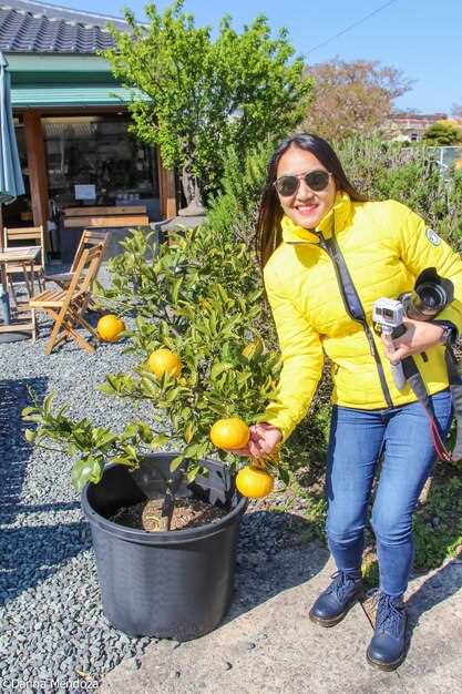 Как выбрать породы под климат, тип почвы и цель участка