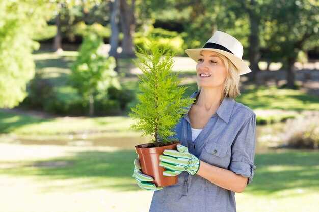 Подбирайте экземпляр с чистой корневой массой и без видимых повреждений. Осмотр корневой системы должен показывать влажные, но не гнилые кончики и равномерно развитые корешки; избегайте саженцев с признаками подвядания или болезней.