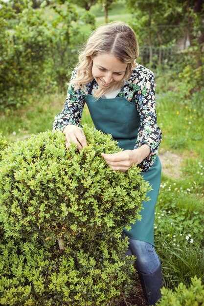 Полив: в первый год после высадки – 15–20 л воды на растение в неделю в засушливые периоды; применение капельного орошения обеспечивает подачу 6–8 л за одно заполнение, частоту поливов регулируйте по влажности почвы. В жару – 1–2 раза в неделю; глубина увлажнения 20–30 см. Подкормка: весной после схода почек – 60–80 г азотсодержащей смеси на растение; во второй половине – 40–60 г фосфорно-калийной смеси. Основу составляет компост объемом 3–5 кг под каждое растение в год, перемешанный на глубину 15–20 см. Следите за умеренным азотным питанием в первый год. Защита от болезней: профилактическая обработка медьсодержащими средствами на стадии набухания почек, повтор через 12–14 дней; позднее в конце лета – профилактика против мучнистой росы и парши. Поддерживайте санитарный порядок, используйте сидераты на междурядьях.