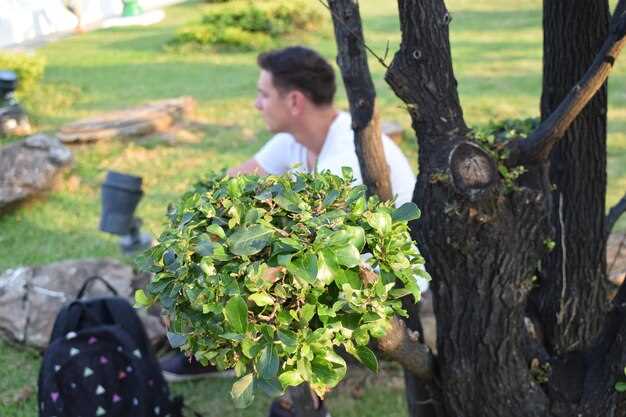 Защита от вредителей: биологические методы, санитарная обрезка и удаление больных побегов.