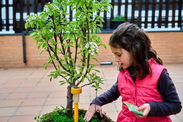 Сроки высадки: ранняя весна (март–апрель) или осень (сентябрь–октябрь).