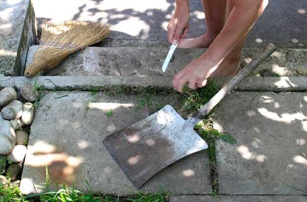 Бетонная плитка выдерживает значительные нагрузки, но чувствительна к влаге и промерзанию. Регулярная чистка щеткой и мягким нейтральным средством сохраняет цвет и структуру. Не используйте кислоты и сильные струи, это может повредить поверхность. В швы добавляйте кварцевый песок раз в год, повторно утрамбовывайте после влажной уборки. Периодически проверяйте края, фиксируйте трещины.