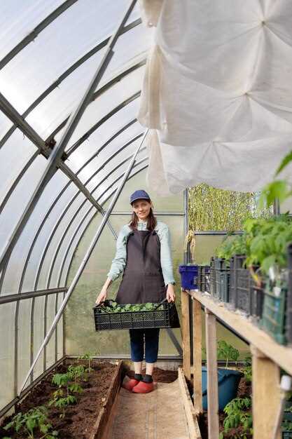 Срок службы и экономические аспекты: поликарбонат против пленки