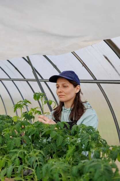 Если основной акцент – экономия, оптимальным станет использование пленки. Она гораздо доступнее и проще в монтаже, однако требует регулярной замены. Несмотря на меньшую продолжительность службы, пленка может эффективно защищать ваш урожай в течение нескольких сезонов, если ухаживать за ней должным образом.