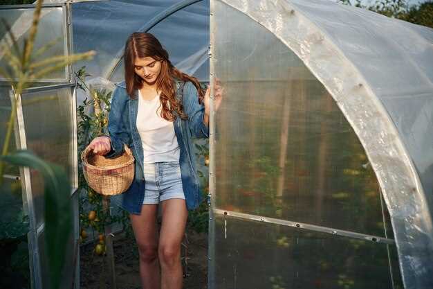 При выборе конструкции необходимо учитывать ее реакцию на солнечное излучение, дождь и снег. Стеклопластиковые варианты имеют склонность к выгоранию и могут утрачивать свои качества под воздействием ультрафиолетовых лучей. В то же время конструкции из полимеров могут показывать высокую стабилизацию формы и цвета, что продлевает срок службы. Еще одним важным аспектом является терморегуляция: проверенные варианты способны удерживать тепло, что существенно снижает риски зимой.