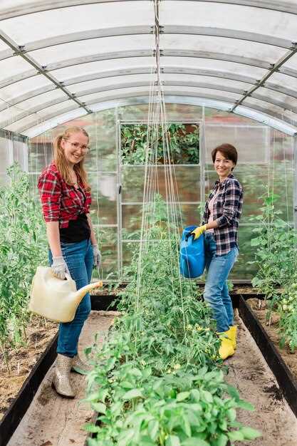 При выборе покрытия для укрытия важно учитывать климатические условия вашего региона. В холодном и ветреном климате поликарбонат обеспечивает значительное преимущество за счет своей герметичности и теплоизоляции, что важно для сохранения оптимального микроклимата внутри конструкции.