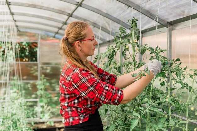 Поликарбонатные конструкции обеспечивают более высокие теплоизоляционные характеристики по сравнению с пленочными укрытиями. Основная причина заключается в структуре материала: поликарбонат многослойный, что способствует образованию воздушных карманов, препятствующих потере тепла.