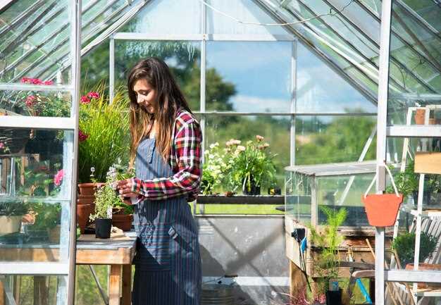 Влияние погодных условий на долговечность