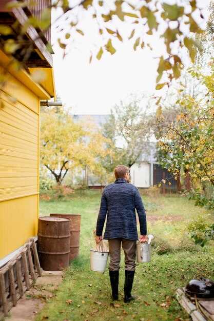 kolodets ili skvazhina chto vibrat dlya dachi