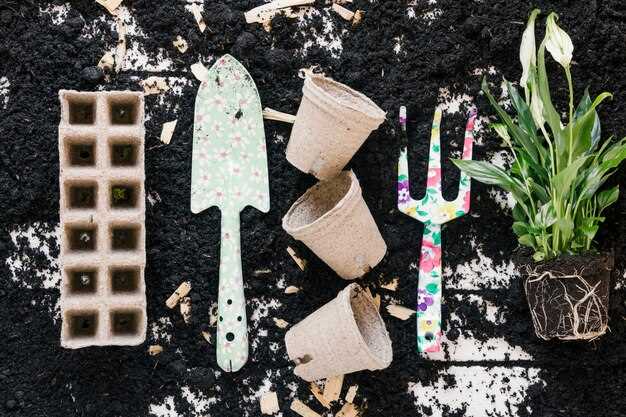 Как определить готовность компоста и как применить его на участке