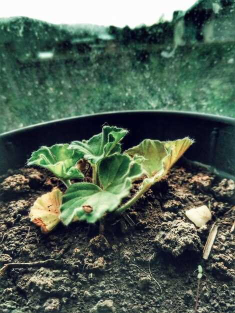 Нельзя добавлять