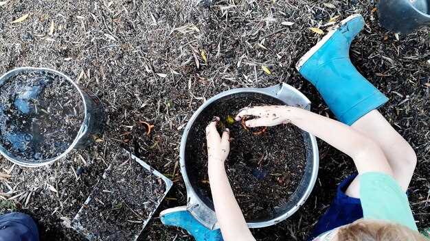 Баланс C:N следует держать в пределах примерно 25–30:1 по массе. Источники углерода: сухие листья, солома, бумага без клея и лаков, картон без покрытий, ветки мелко нарезанные. Источники азота: трава после стрижки, кухонные остатки без жирной пищи, кофейная гуща, овощные очистки. Если материалов не хватает, добавляйте немного более влажной зелени и подсыпайте углеродистые компоненты в пропорции 2–3:1 по массе по отношению к зелени, чтобы приблизиться к целевому соотношению.