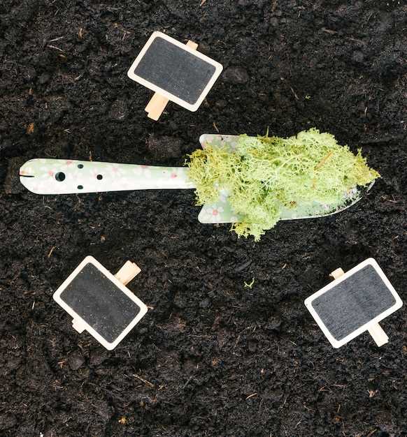 Дренажная прослойка под контейнером формируется так: дно покрывают геотекстилем, сверху кладут слой щебня 10–15 см, затем песок 5–10 см. Это обеспечивает сток лишней влаги и предотвращает застой. Объем конструкции под семейный режим использования – 0,5–1 м³; для больших семей можно увеличить до 1,5 м³. Короб может быть сделан из пластика или дерева, высота стен 0,8–1 м, крышка должна плотно закрываться для защиты от атмосфер и животных.