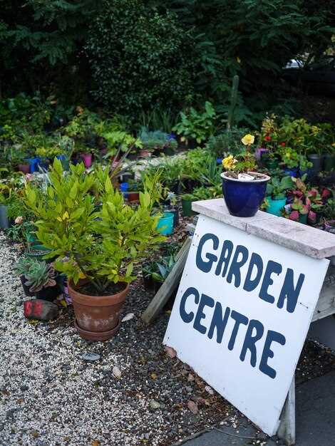 Переходя к выбору материалов, важно учитывать undefinedрастения</strong>. Заранее определите, какие виды и сорта будут наиболее уместны. Для этого полезно изучить климатические условия и почву. Кроме того, стоит обратить внимание на <em>субстраты</em>, мульчи и удобрения, которые помогут поддерживать здоровье растений. Подберите и правильную землю в зависимости от потребностей выбранных культур.»></p>
<h3>Инструменты для работы с материалами</h3>
<p><img decoding=