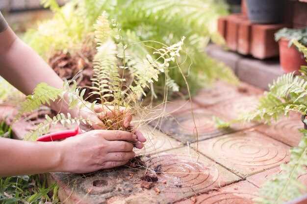 Гармония в создании