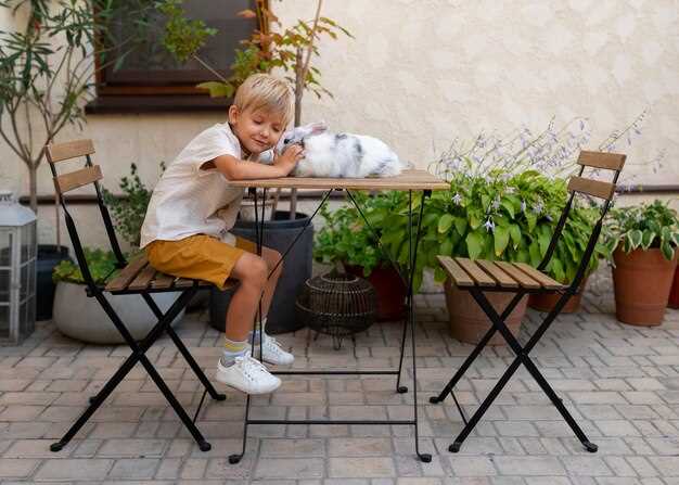 undefinedСхема сборки:</em> каркас стола – две продольные балки по 1,2 м, поперечины 0,6 м; скамья – 1,5 м; крепление уголками по углам; шаг сборки – 400 мм.»></p>
<p><strong>Защита от влаги обязательна:</strong> грунтовка, затем два тонких слоя лака на водной основе; хранение под навесом продлевает срок службы.</p>
<p><img decoding=