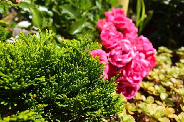 Текстуры и высотные уровни