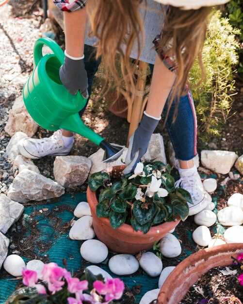 Рельеф и водоотвод: как распланировать террасы